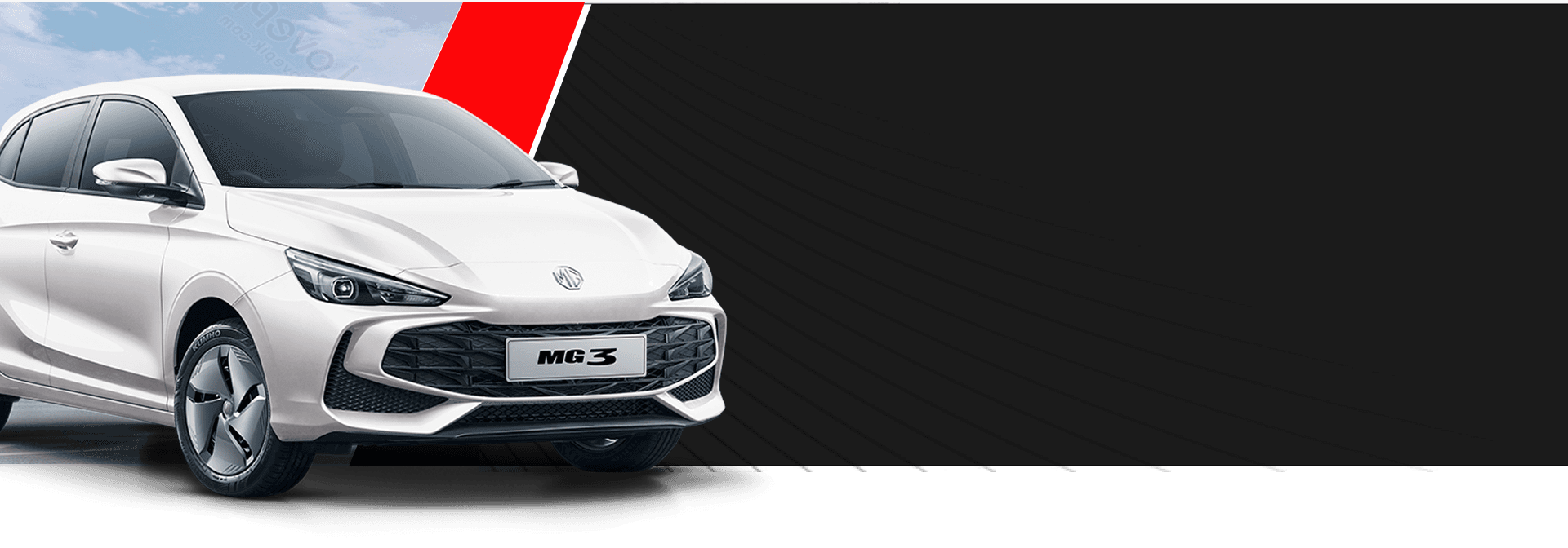 Why Choose Car Rental Background